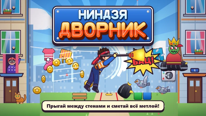 Ниндзя-дворник